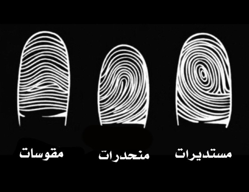 هل تساءلت يوما عن شكل بصمتك …