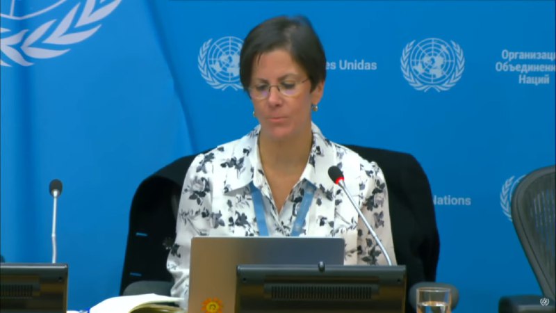 **Reem Alsaleem pide en la ONU …