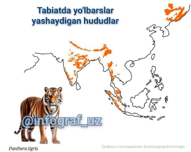 **Yovvoyi tabiatda yo'barslar yashaydigan hududlar*****🐅***