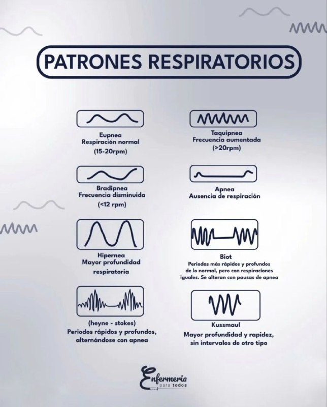 Infografías