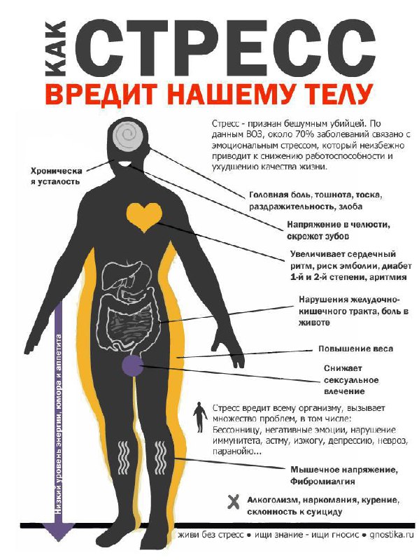 *****🧠*******Для борьбы со стрессом - психологи …