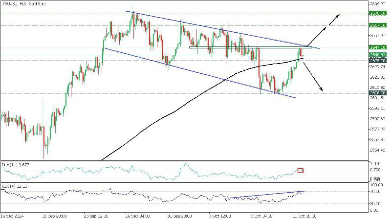 ***🥇*****•چشم انداز XAUUSD (طلا):**