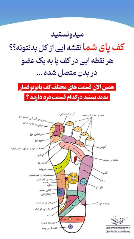 گنجینه‌ی اینلایت