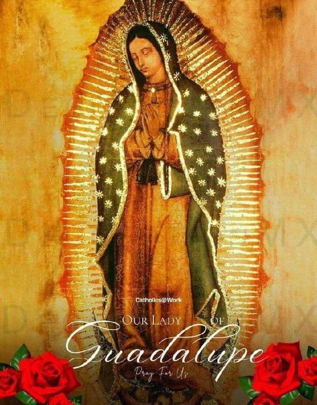 *Our Lady of Guadalupe, Pray for …