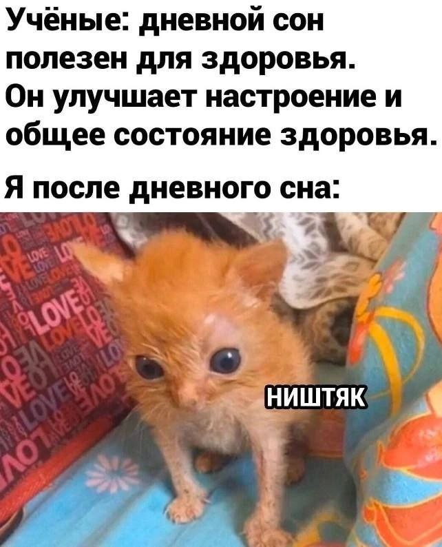 У меня в штанах