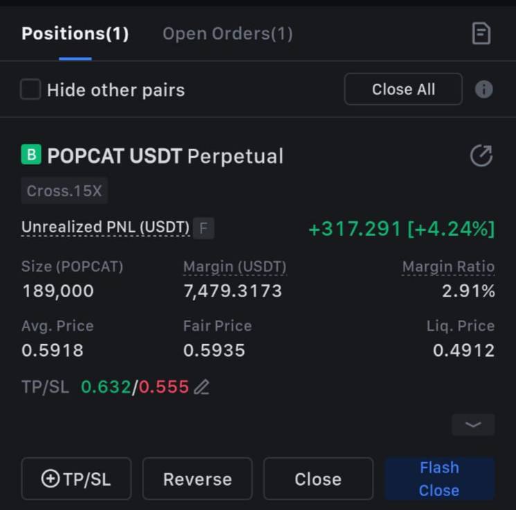 Open $**POPCATUSDT** long position