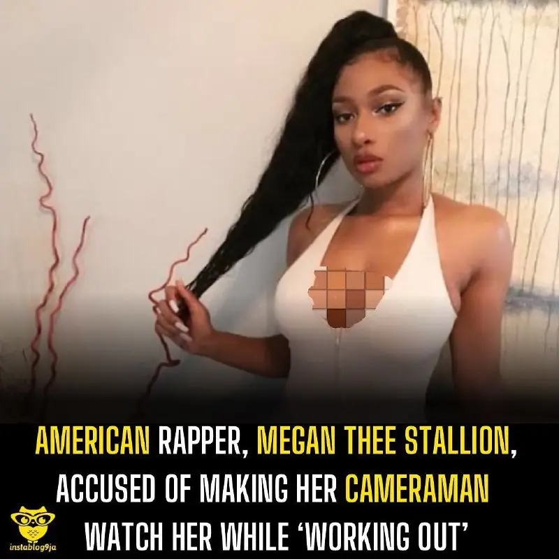 Megan Thee Stallion forced her cameraman …