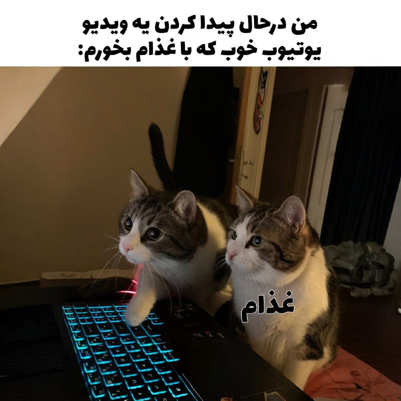 Instagram Saved 📎