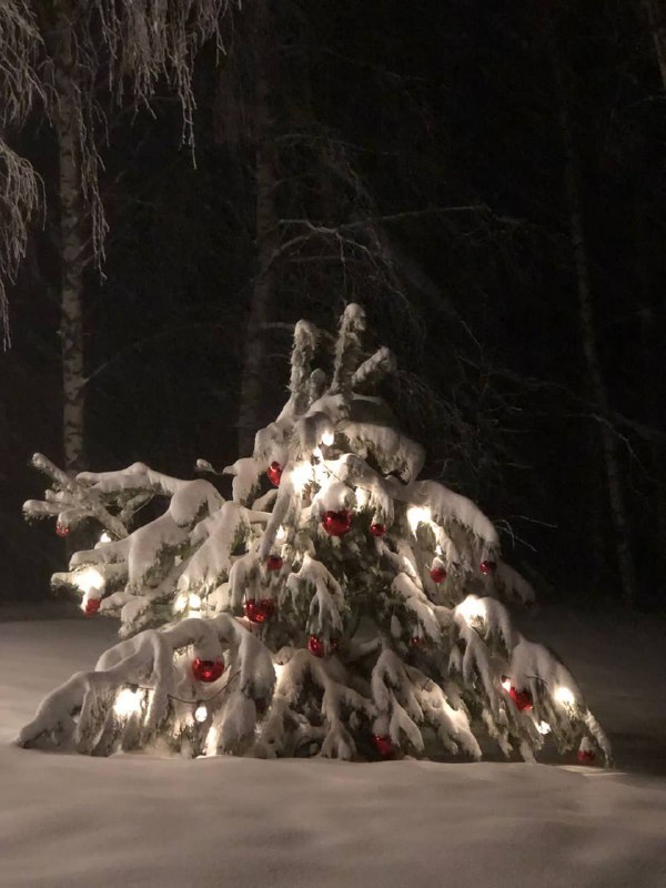 Институт развития городов Татарстана