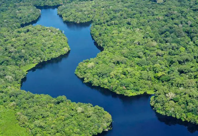 La Amazonía agoniza por culpa de …