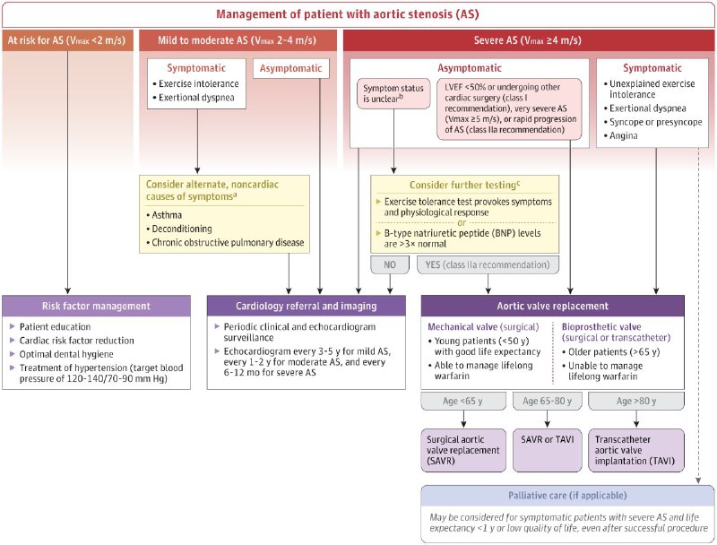 Internal Medicine Insights 🧠