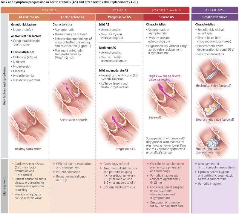 Internal Medicine Insights 🧠