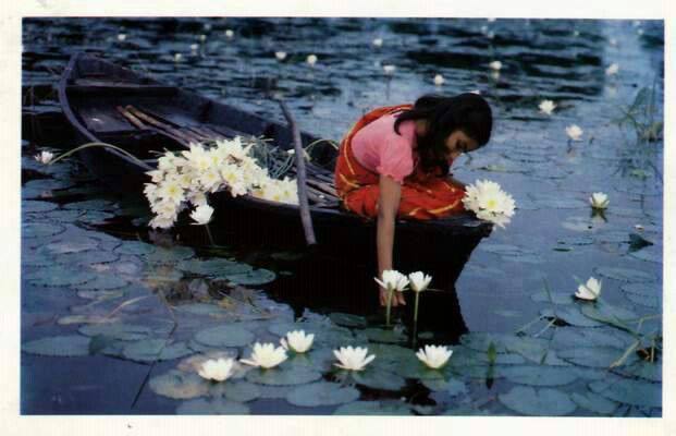 In the Mood for Love