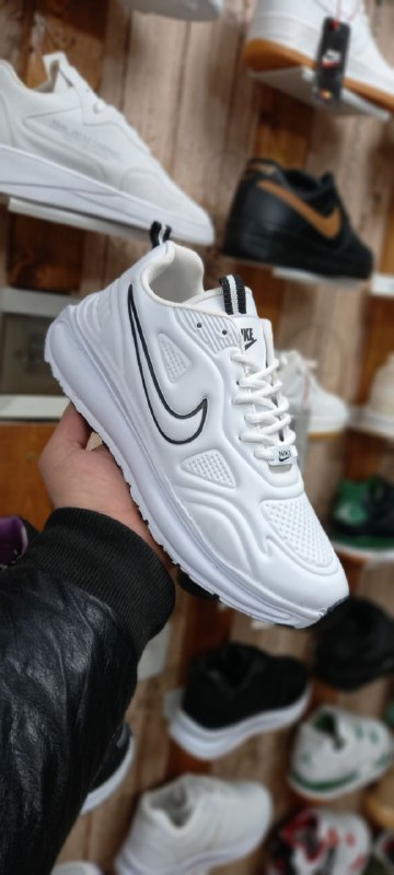 Ipaksport11