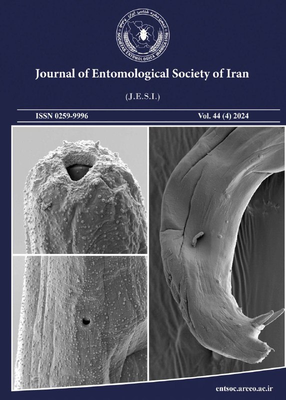 **New Issue Released**