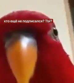 Это ты? Реально?