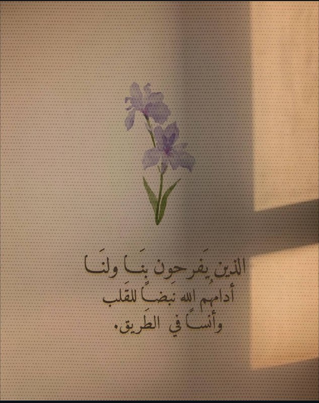 أقتباسات 💗