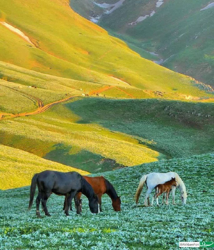 ***🔸*****طبیعت جواهردشت، گیلان**