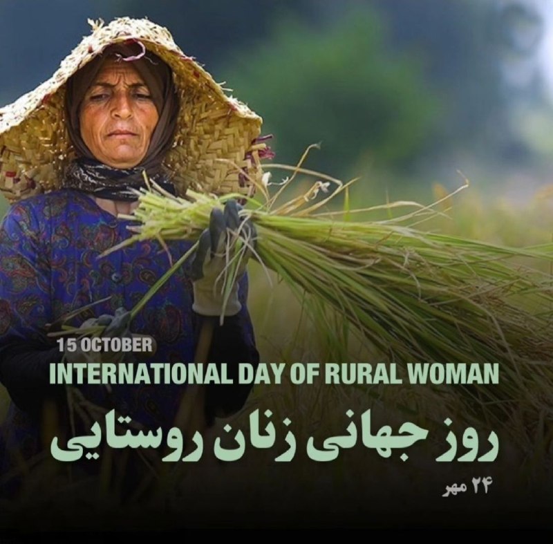زنان روستایی می دانند که چگونه …