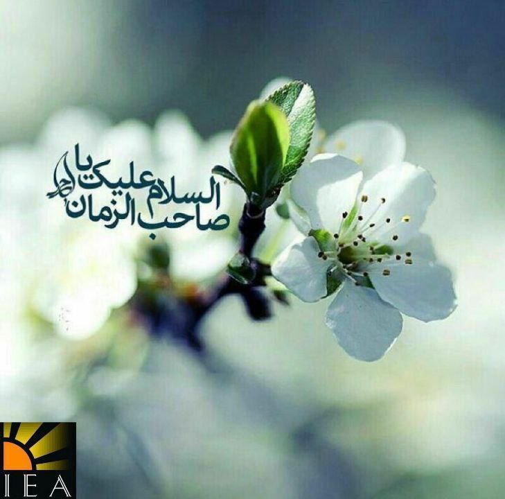***🌸***فرا رسیدن سالروز ولادت یگانه منجی …