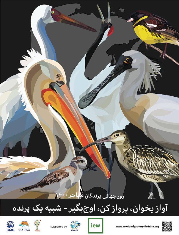 [**WORLD MIGRATORY BIRD DAY**](https://t.me/iranenvironmentwatch/4969)