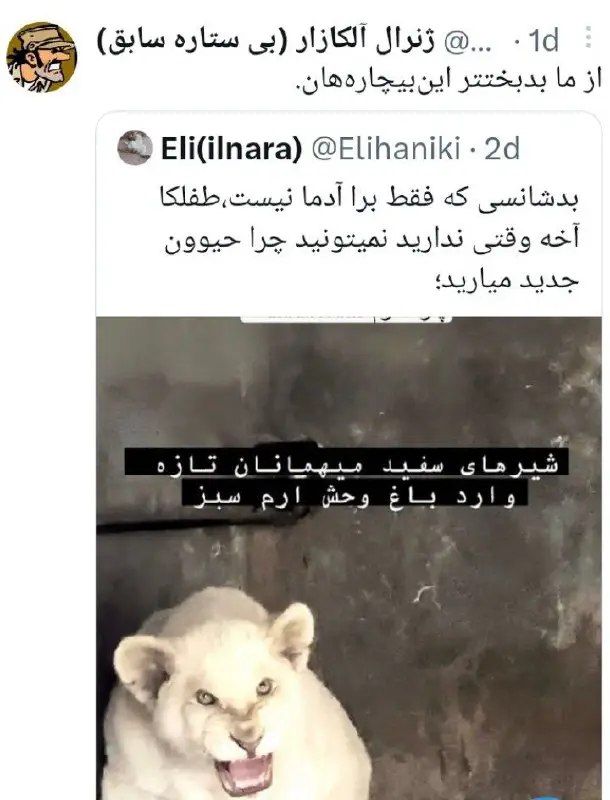 از ما بدبختر این بیچاره‌هان