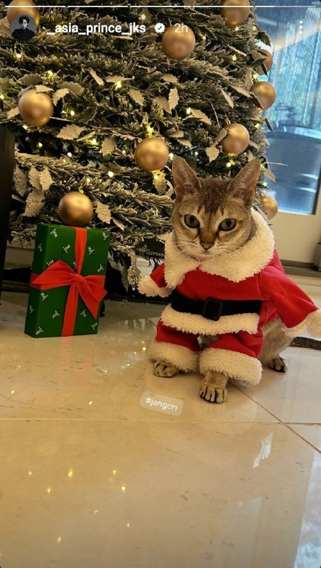 ***?***241225