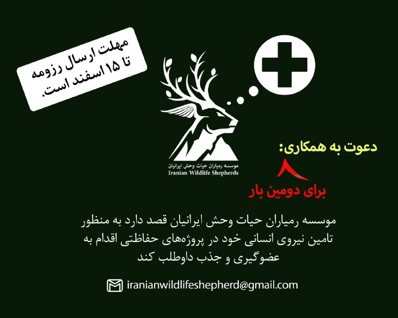 |دومین دعوت به همکاری|