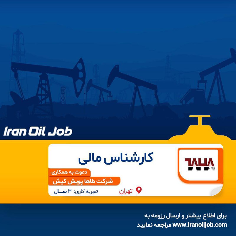 ***?***کارشناس مالی