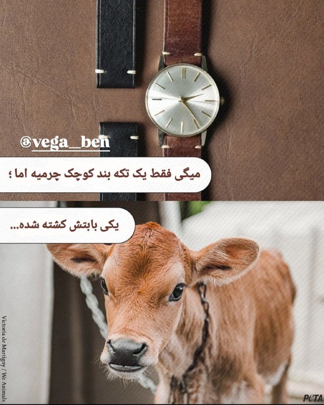 ***🔶️*** چیزی به اسم محصول کناره …