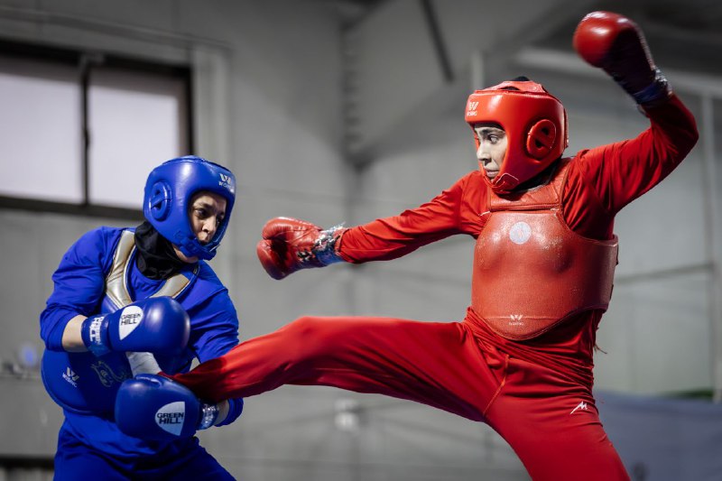 Iran Wushu