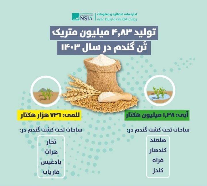 **افزایش ۱۰ درصدی برداشت گندم در …