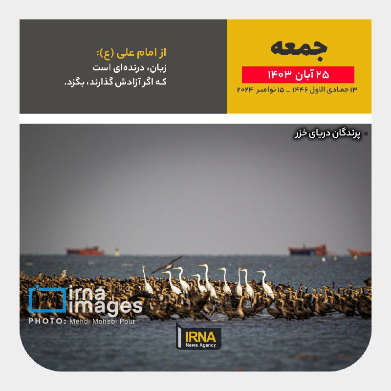 ***?*** [#تقویم](?q=%23%D8%AA%D9%82%D9%88%DB%8C%D9%85) | امروز جمعه ۲۵ …