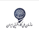 **یک سوزن به خودتان بزنید یک …