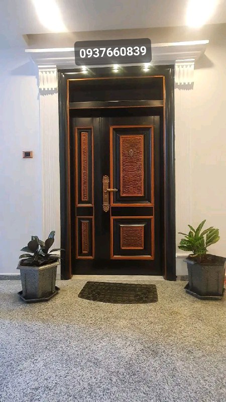 SECURITY DOORS