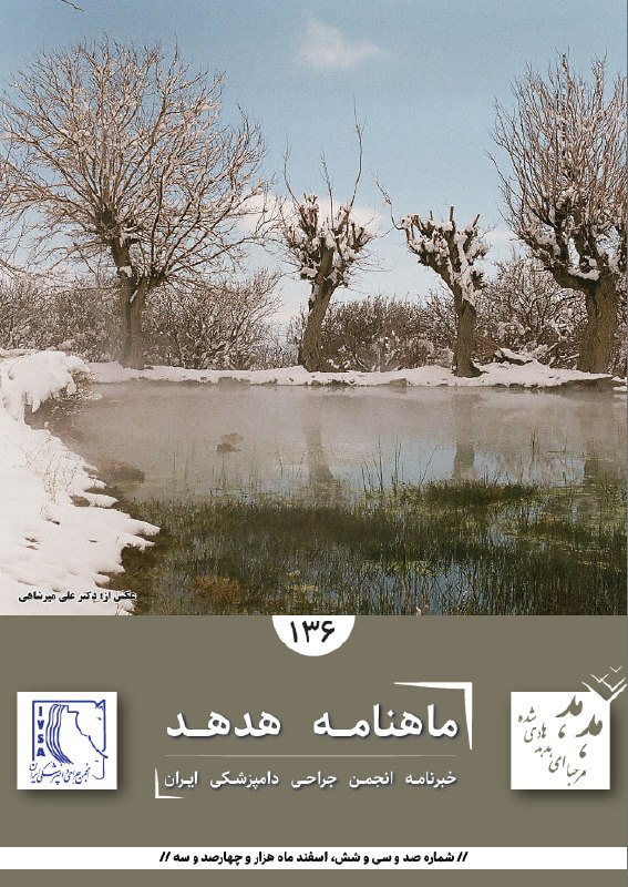 همراهان انجمن جراحی دامپزشکی ایران