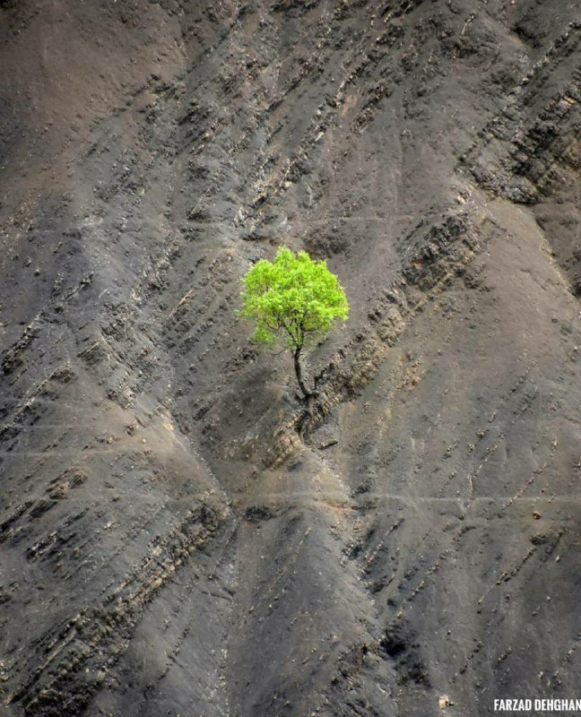***?*** من گره خواهم زد