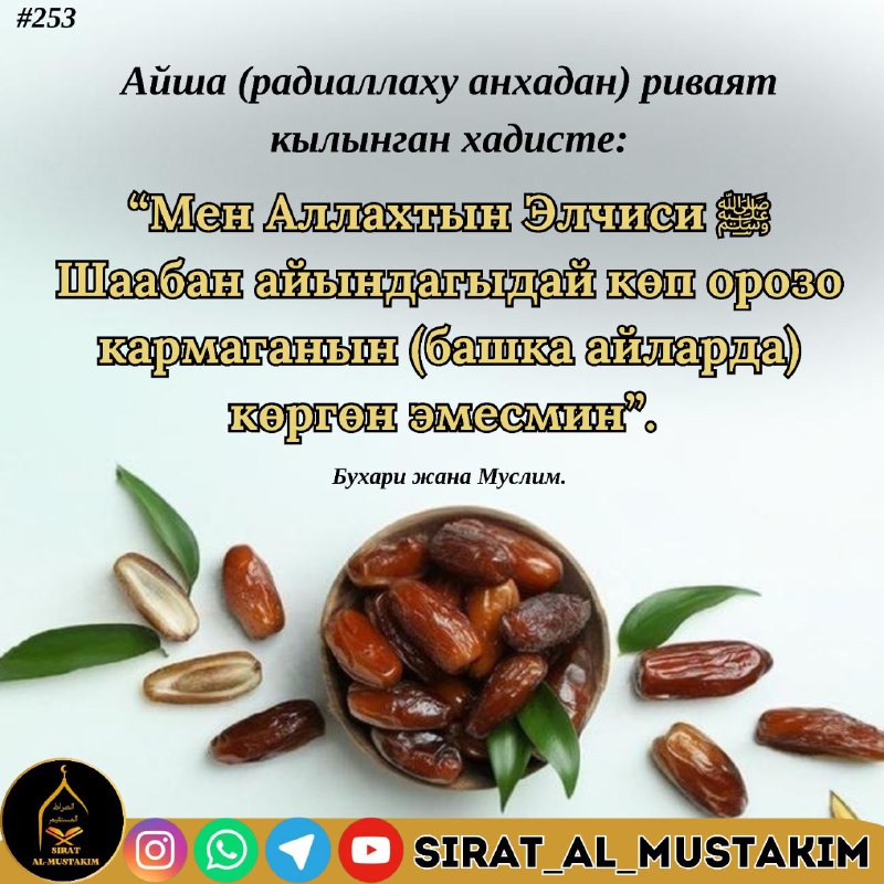 ⚜SIRAT_AL_MUSTAKIM ⚜