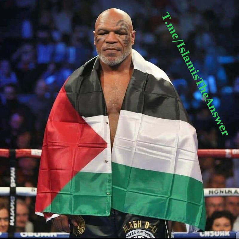 **We Love Mike Tyson!***🫡******☪️********🇵🇸***