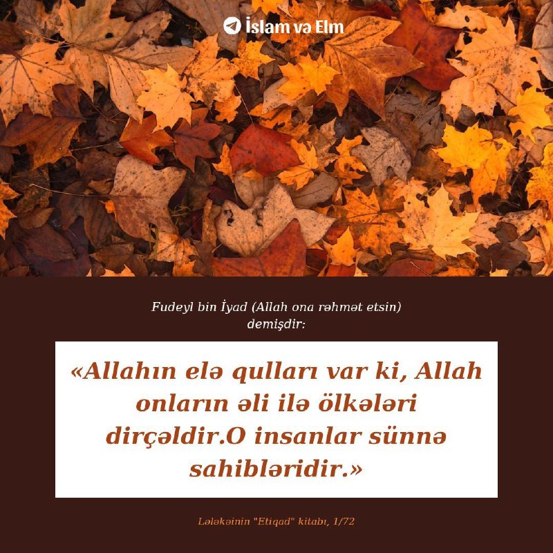 İSLAM VƏ ELM