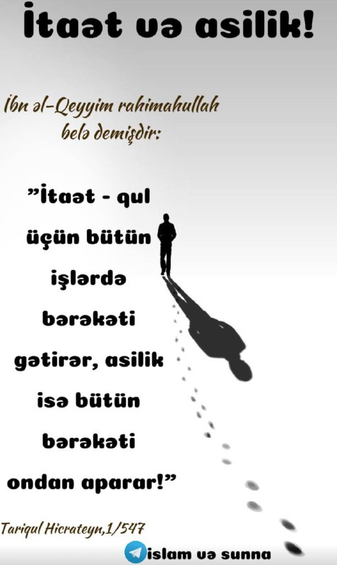 İSLAM VƏ SUNNA