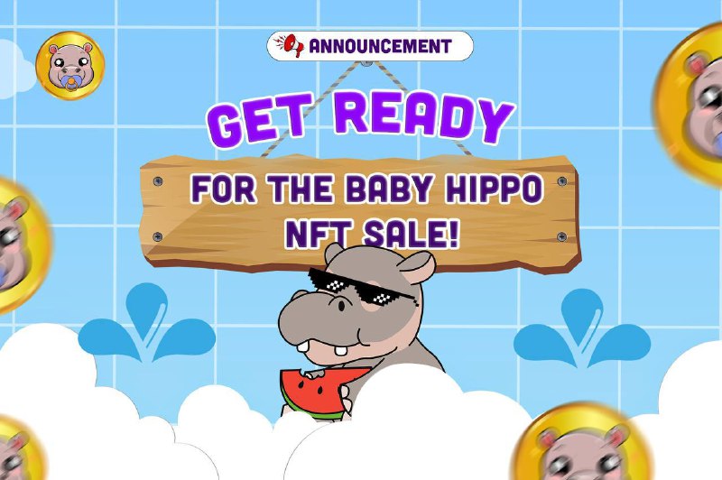 **Get Ready for the Baby Hippo …