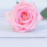 بطاقات تحفيزية للحافظات***🌷***