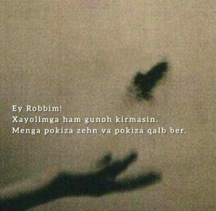 Ey Robbim!