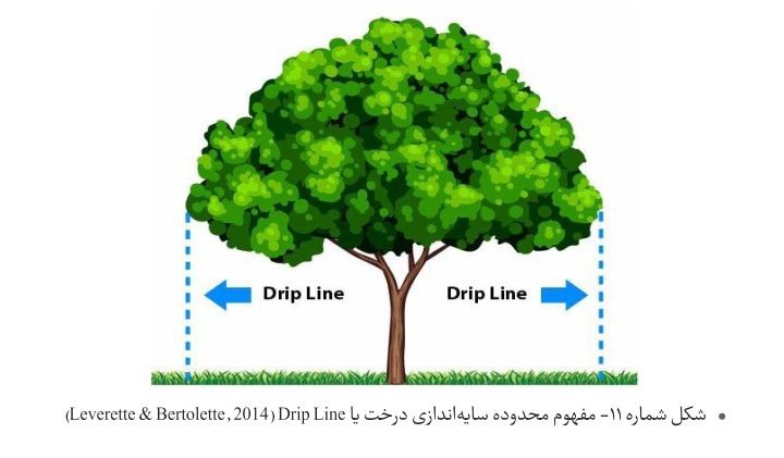 [#تصاویر](?q=%23%D8%AA%D8%B5%D8%A7%D9%88%DB%8C%D8%B1) [#مهم](?q=%23%D9%85%D9%87%D9%85) [#کنکوری](?q=%23%DA%A9%D9%86%DA%A9%D9%88%D8%B1%DB%8C)