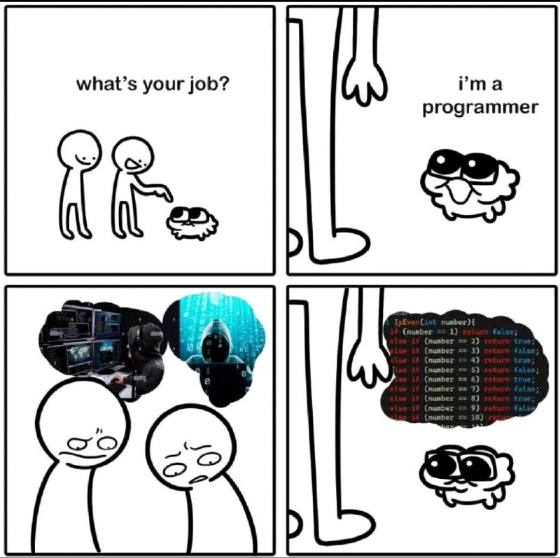 toBeAProgrammer