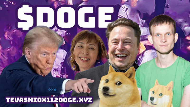 **TEVASMI0X112DOGE** $DOGE **New Era for DOGE …