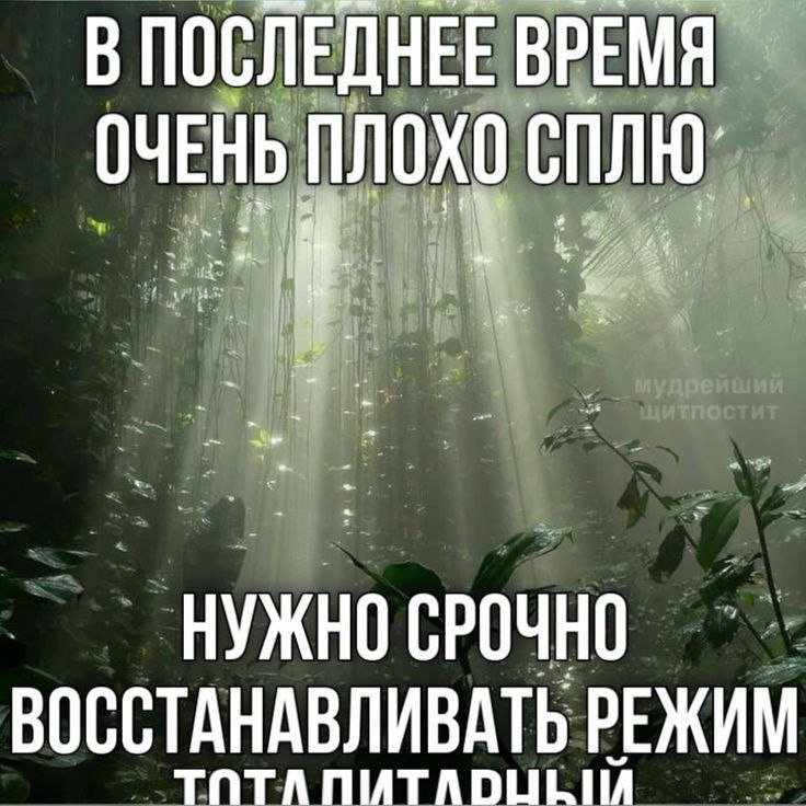 ириш бастард
