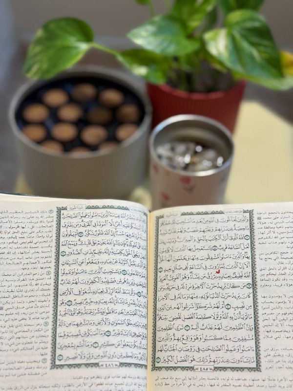 مهما حَصَّلتَ من عِلْمٍ، لن ترتفعَ …