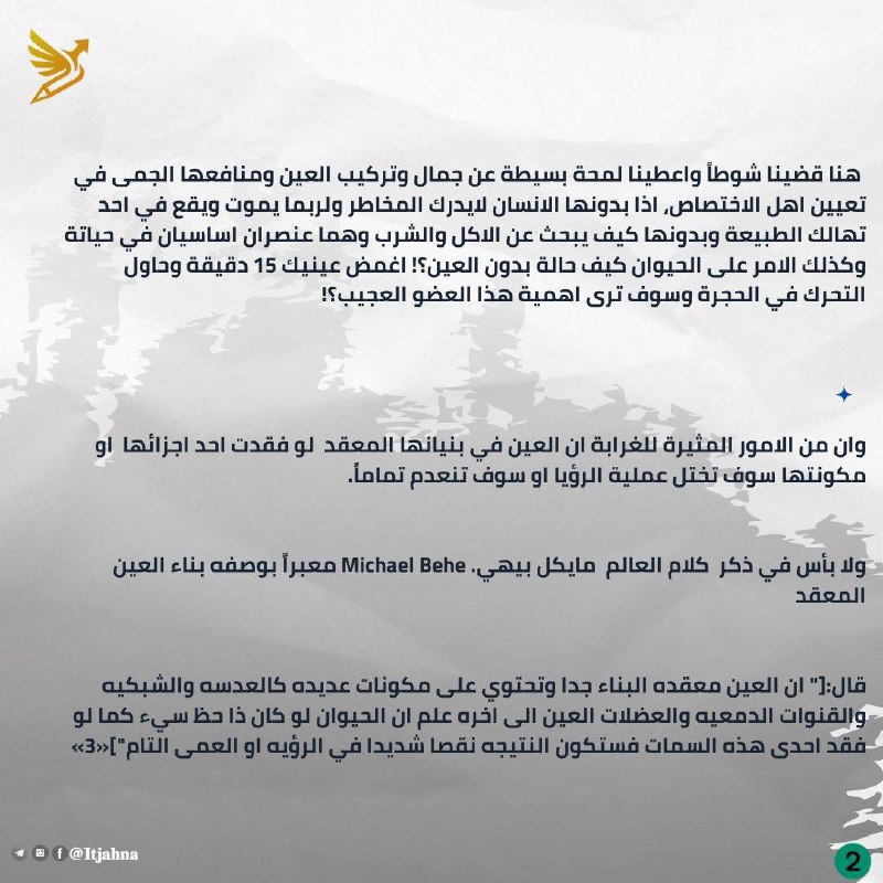 إتجاهنا